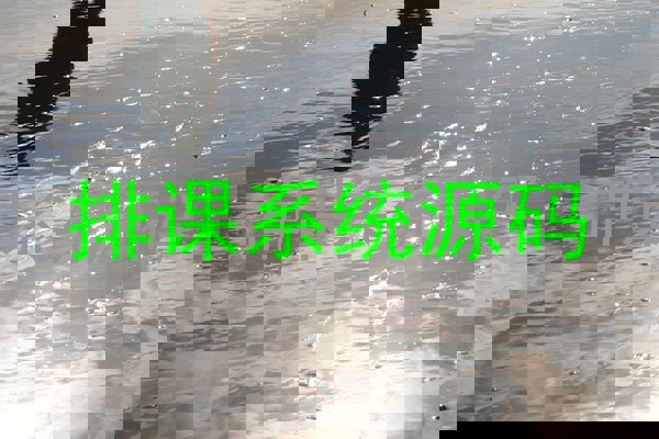 排课系统源码