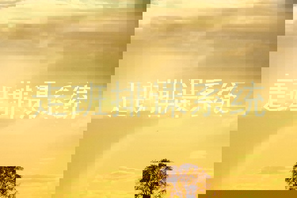 走班排课系统