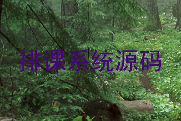 排课系统源码