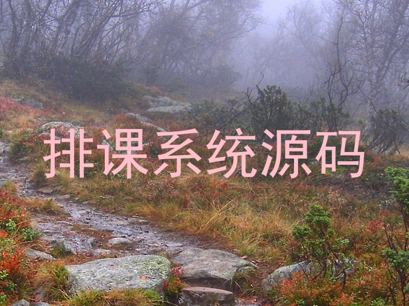 排课系统源码