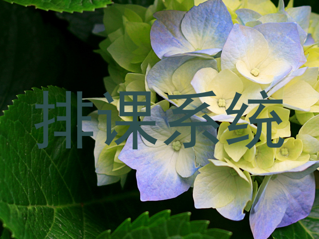 排课系统
