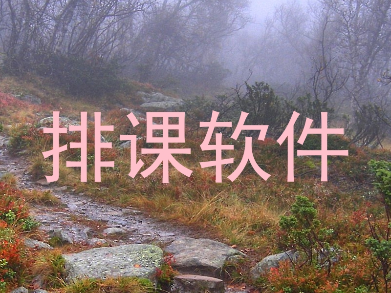 排课软件