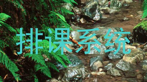 排课系统