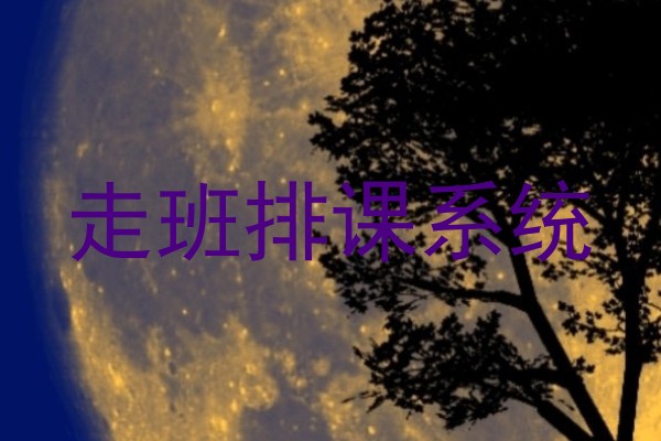 走班排课系统