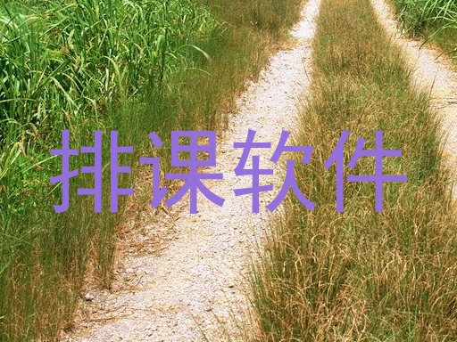 排课软件