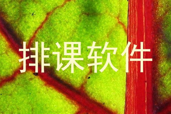 排课软件