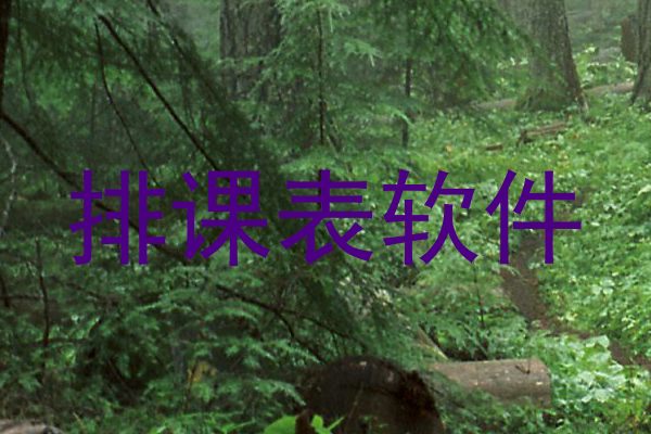 排课表软件