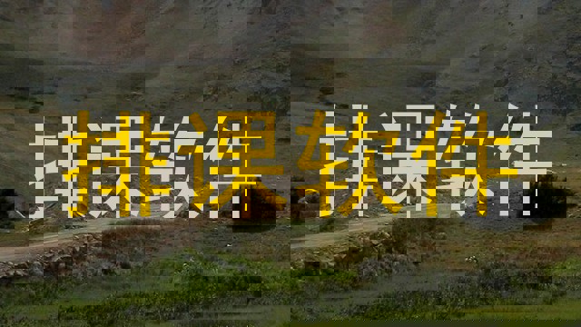 排课软件