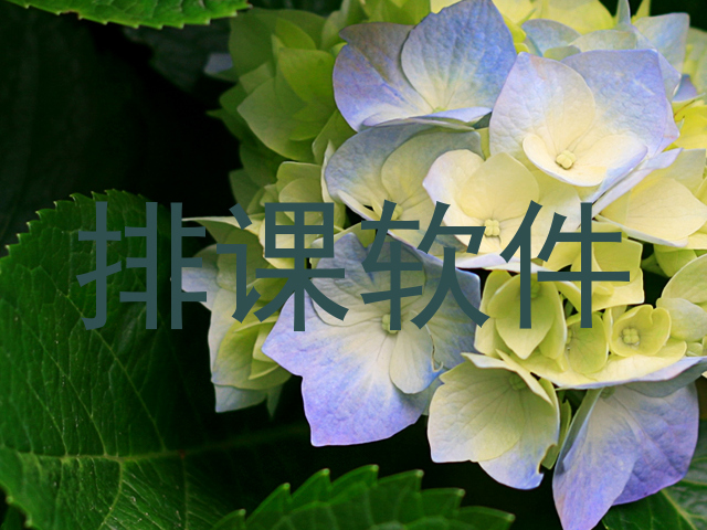 排课软件
