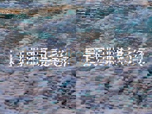 走班排课系统