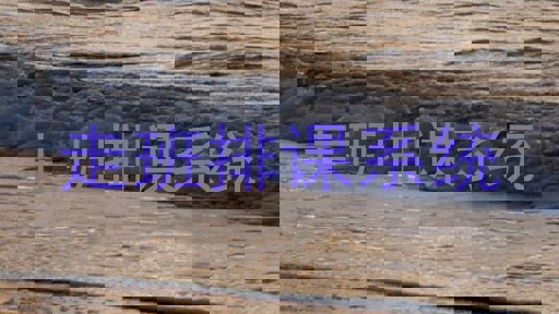 走班排课系统