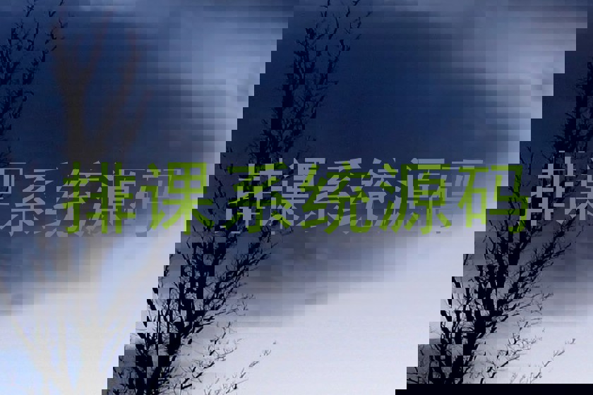 排课系统源码