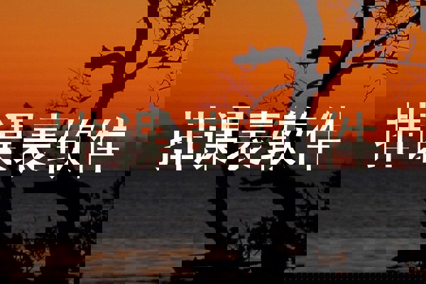 排课表软件