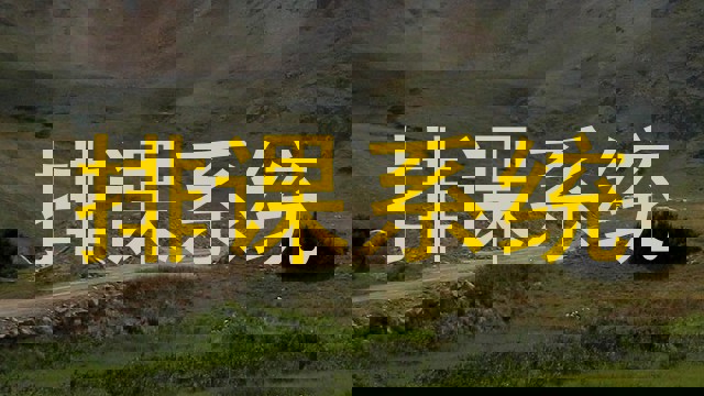 排课系统