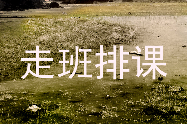走班排课