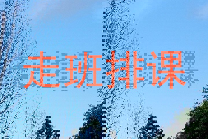 走班排课