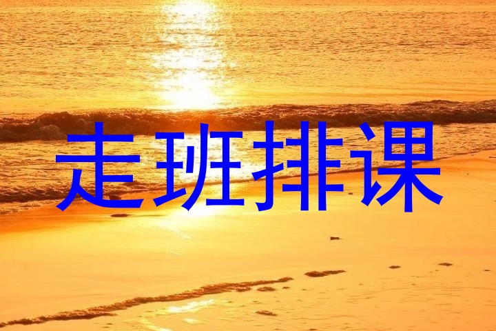 走班排课
