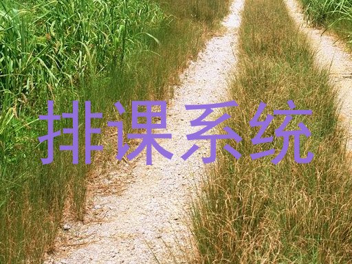 排课系统