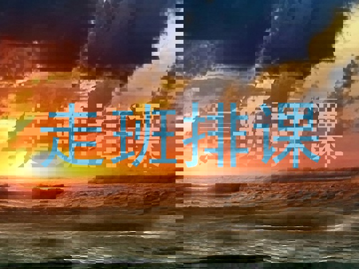 走班排课