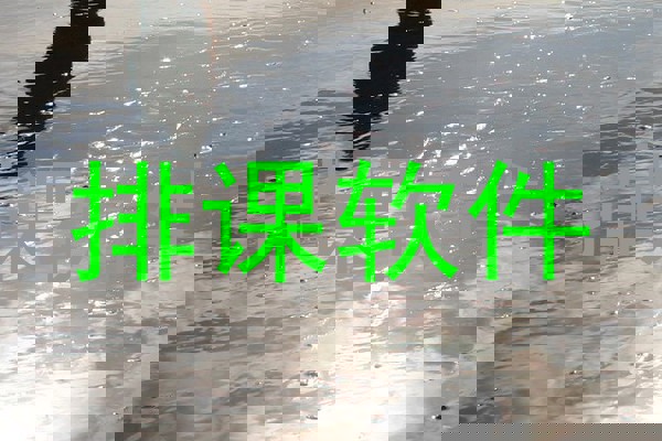 排课软件