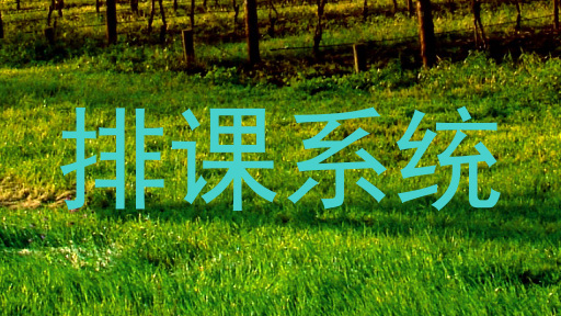 排课系统