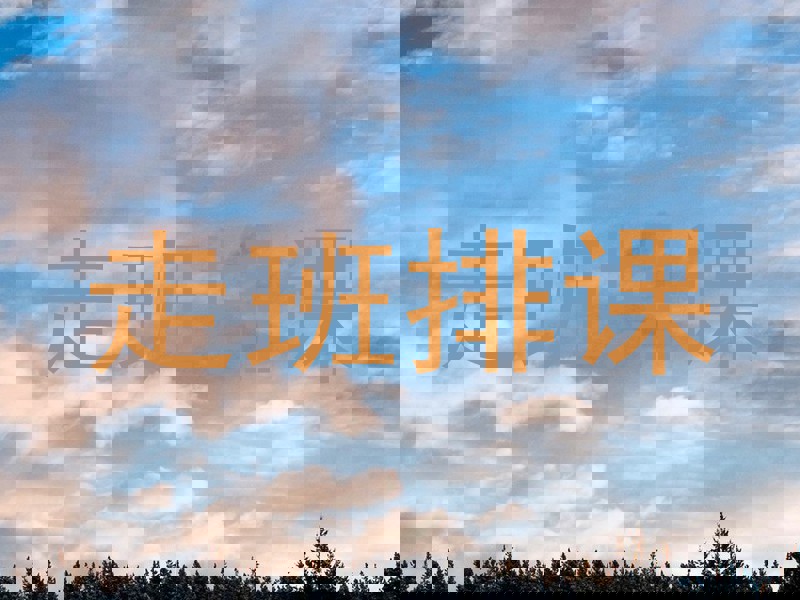 走班排课
