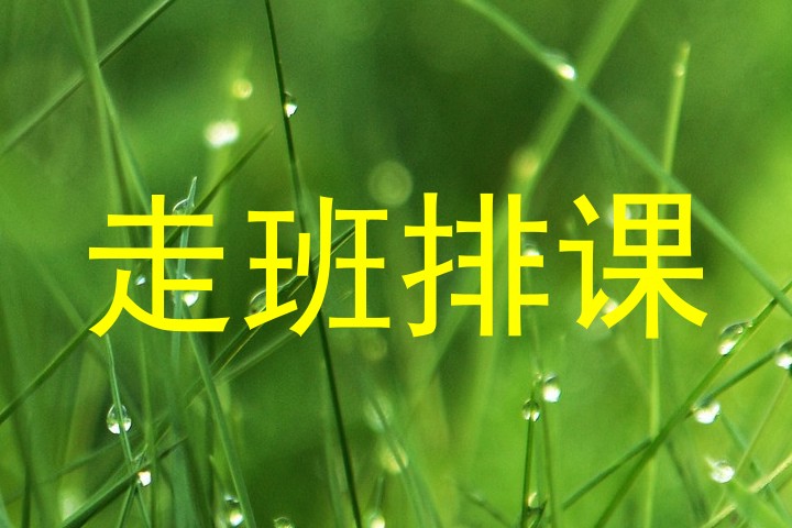 走班排课