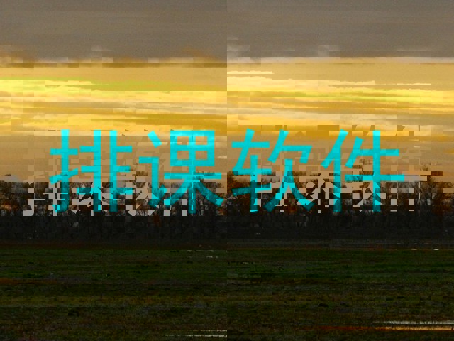 排课软件