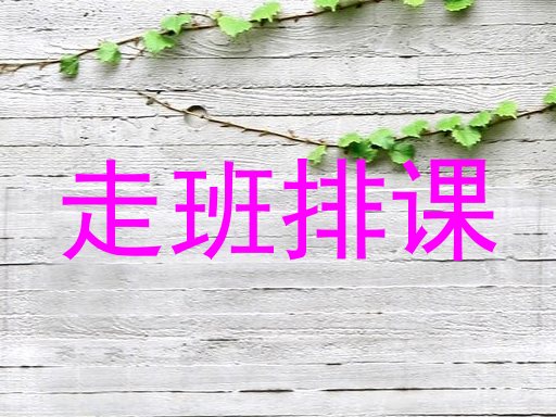 走班排课