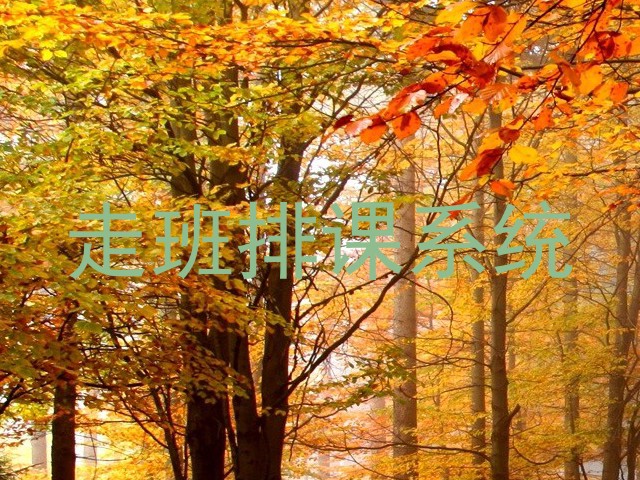 走班排课系统