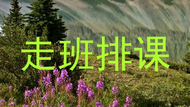 走班排课