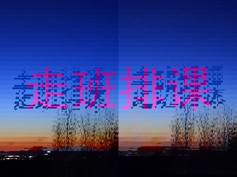 走班排课