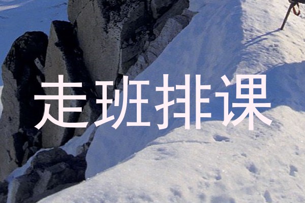 走班排课