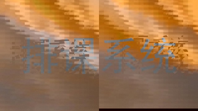 排课系统