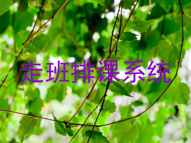 走班排课系统