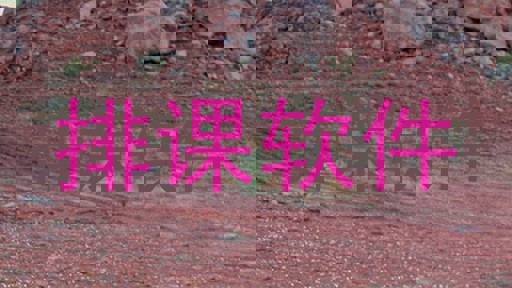 排课软件