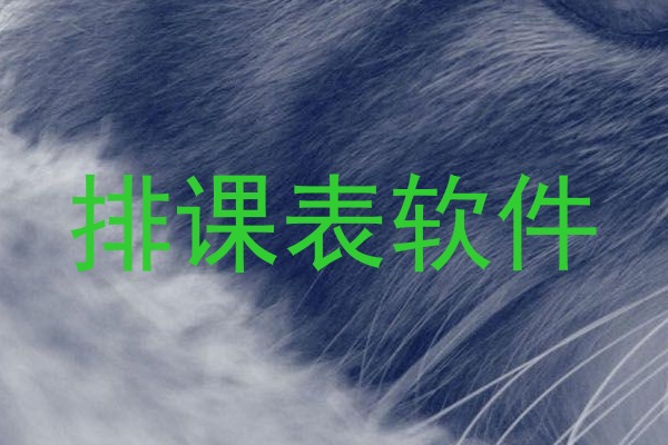 排课表软件
