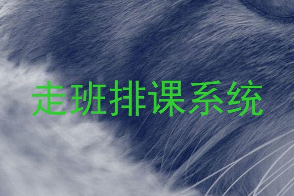 走班排课系统