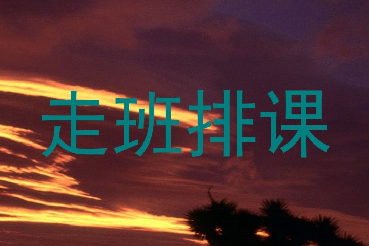 走班排课