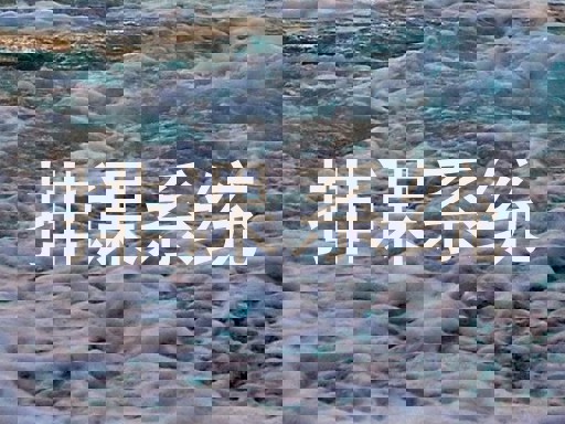 排课系统