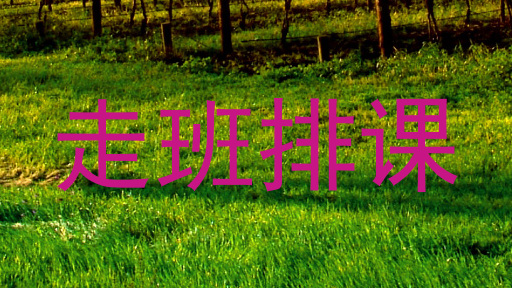 走班排课