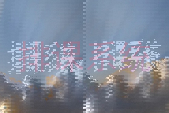 排课系统
