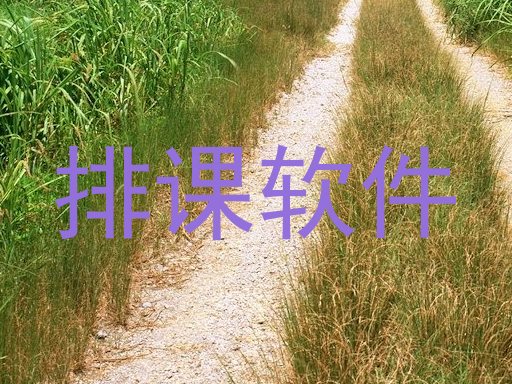 排课软件