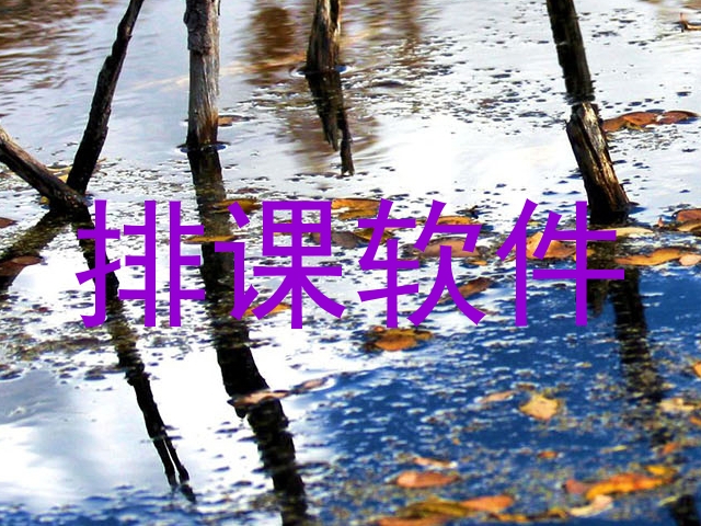 排课软件