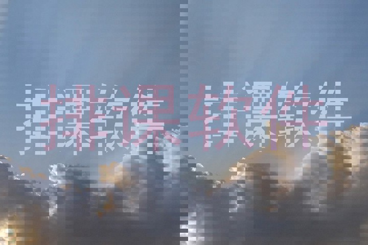 排课软件