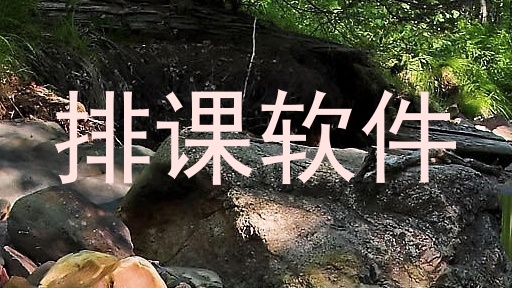 排课软件