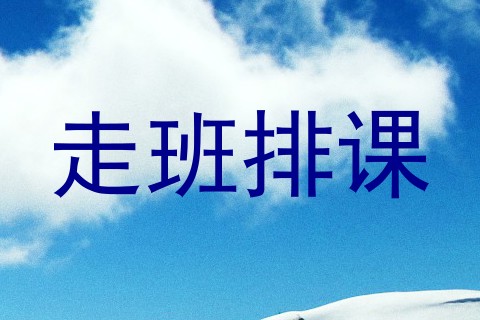 走班排课
