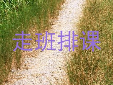 走班排课