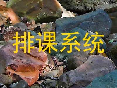 排课系统