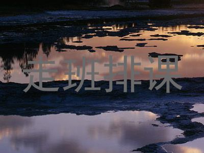 走班排课